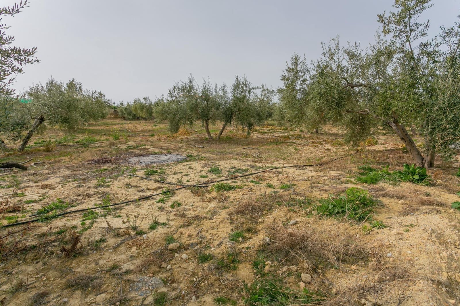 Finca/Casa Rural de 3 habitaciones en Albuñuelas en venta con piscina - 295.000 € (Ref: 9829094)