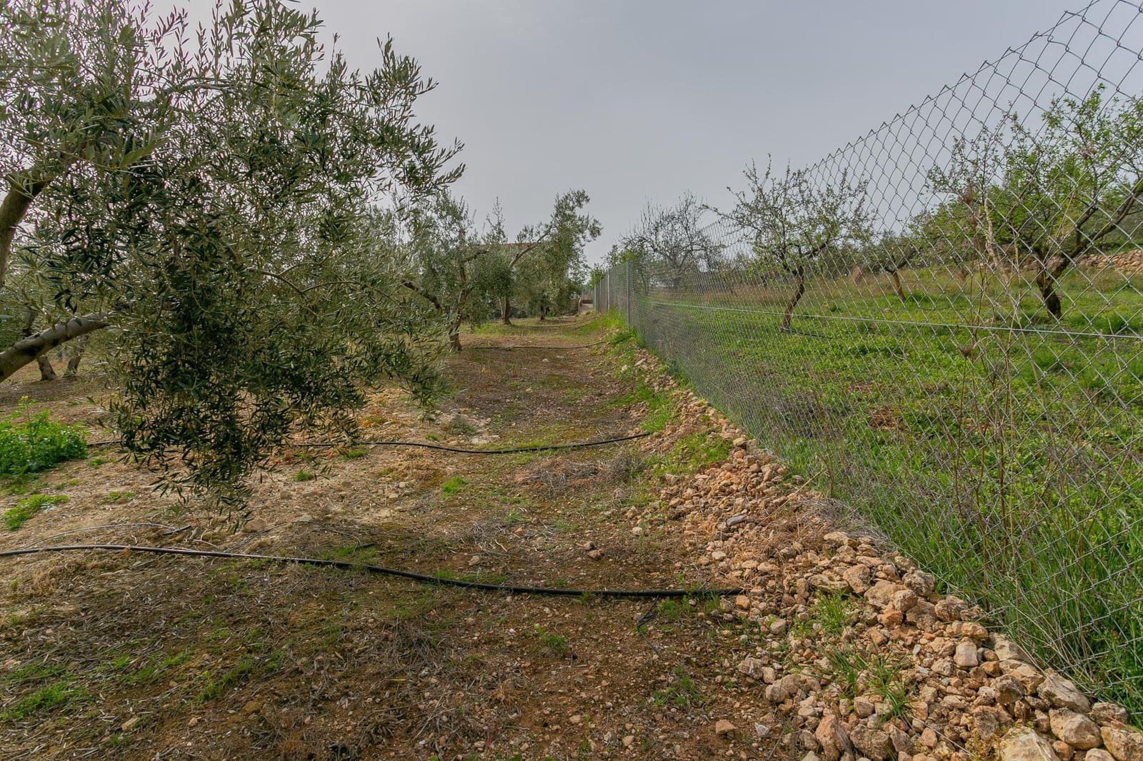 Finca/Casa Rural de 3 habitaciones en Albuñuelas en venta con piscina - 295.000 € (Ref: 9829094)