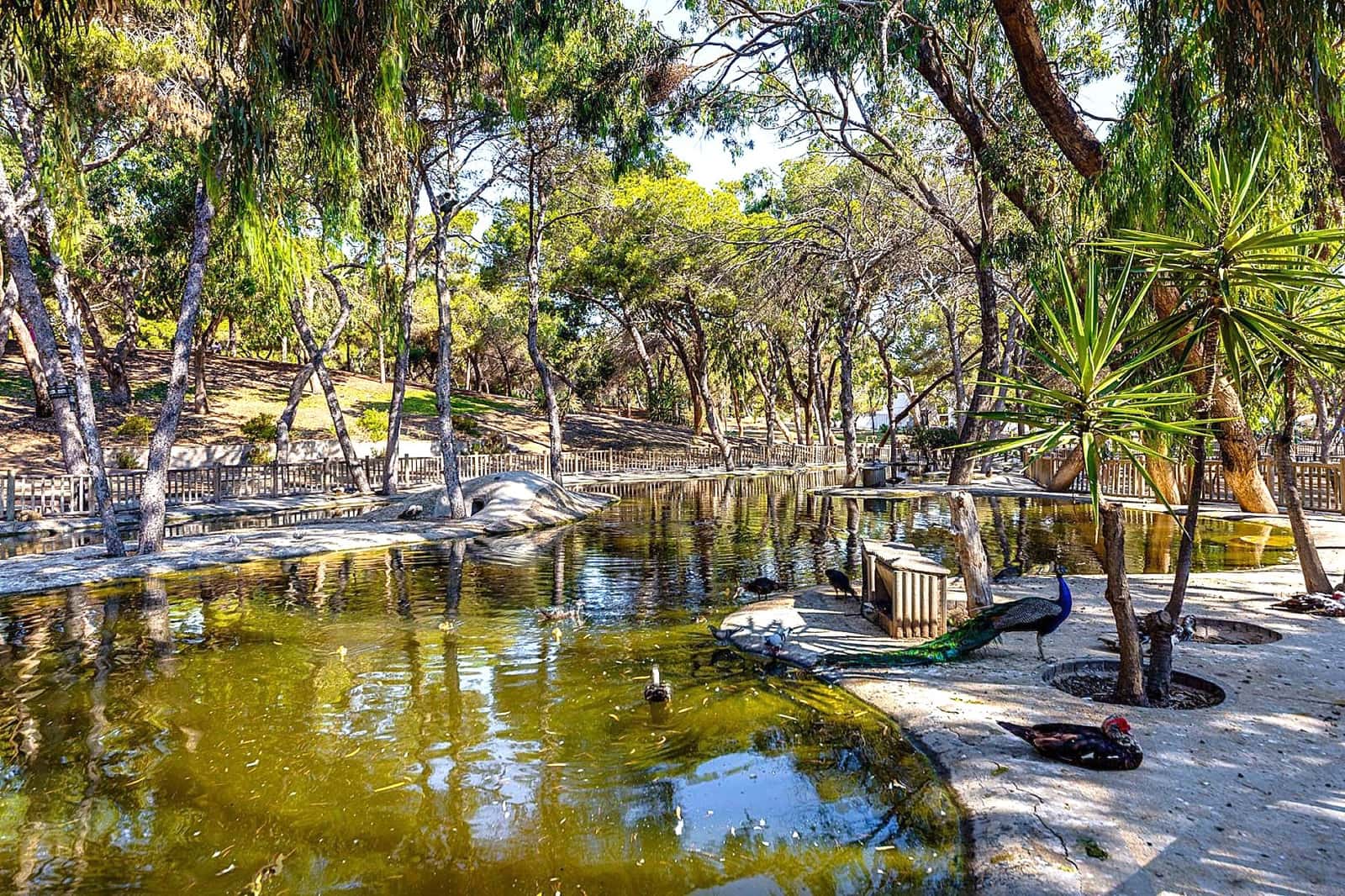 3 makuuhuone Omakotitalo myytävänä paikassa Ciudad Quesada - 164 900 € (Ref: 9488816)