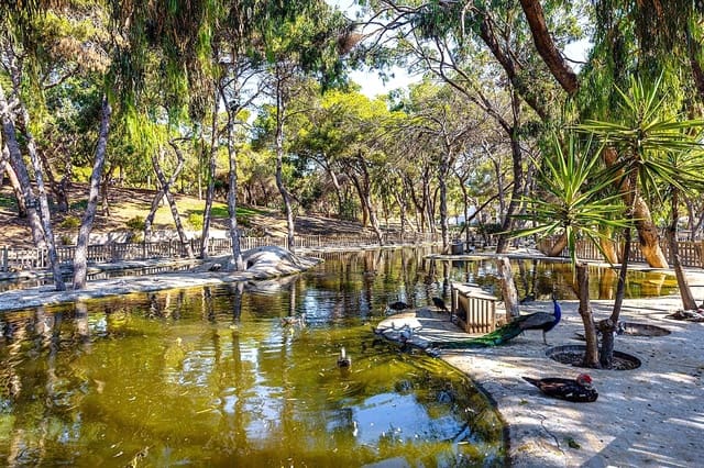 3 makuuhuone Omakotitalo myytävänä paikassa Ciudad Quesada, Rojales - 164 900 € (Ref: 9488816)