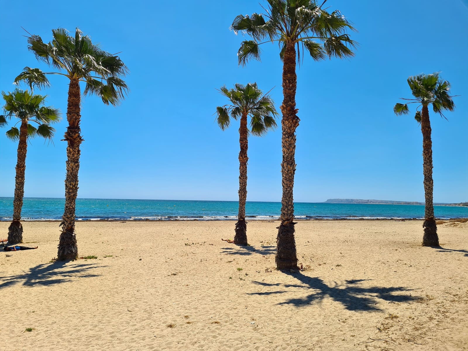 2 Zimmer Apartment zu verkaufen in Alicante / Alacant Stadt - 249.000 € (Ref: 9488845)