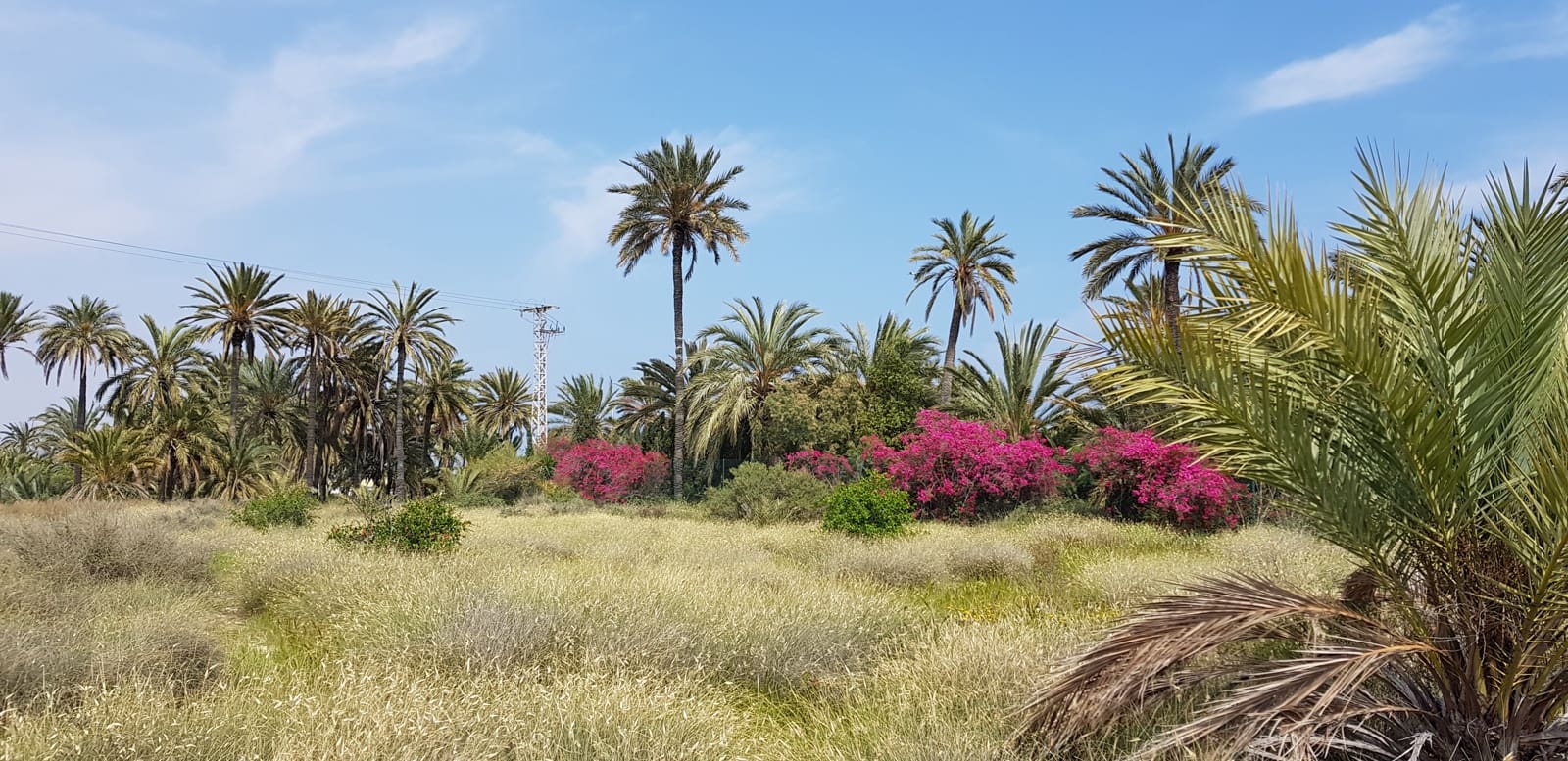 5 bedroom Villa for sale in Rojales - € 168,950 (Ref: 9488852)