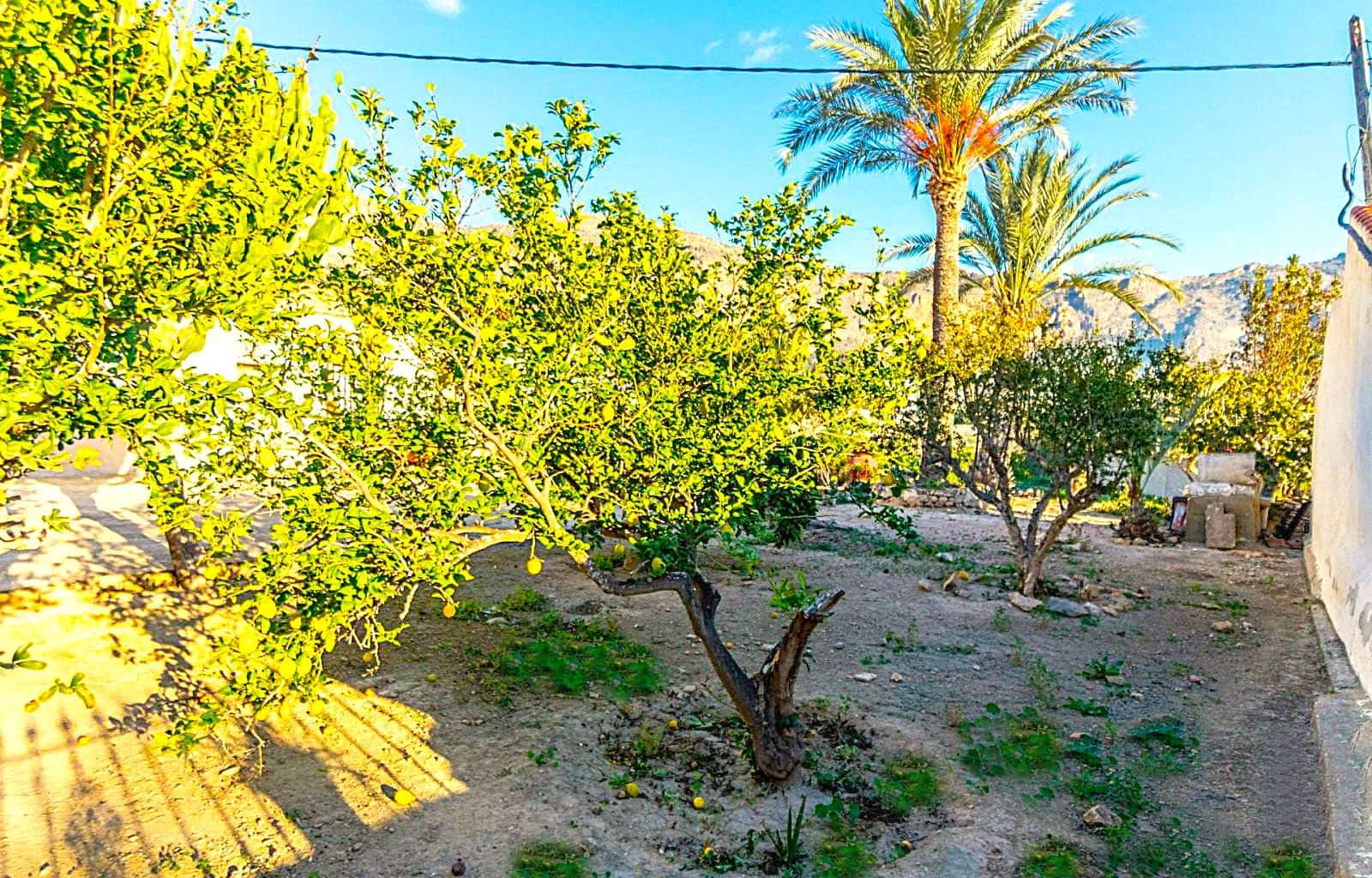 4 slaapkamer Finca/Landhuis te koop in Orihuela - € 249.900 (Ref: 9498893)