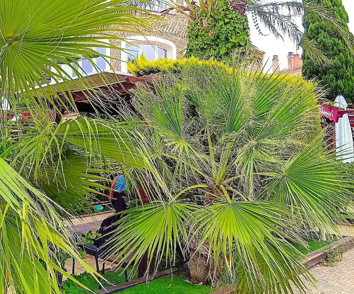 2 slaapkamer Appartement te koop in Orihuela Costa - € 134.950 (Ref: 9520668)