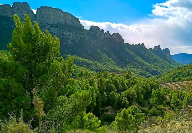 3 makuuhuone Huoneisto myytävänä paikassa Relleu - 130 000 € (Ref: 9555237)