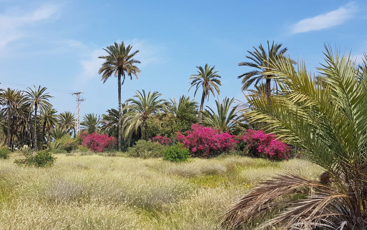 Villa til salg i Los Martinez del Puerto - € 394.900 (Ref: 9706060)