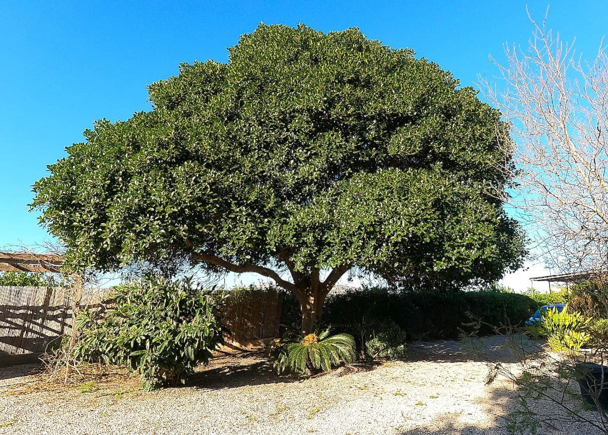 3 bedroom Villa for sale in La Campaneta with pool garage - € 374,950 (Ref: 9706063)