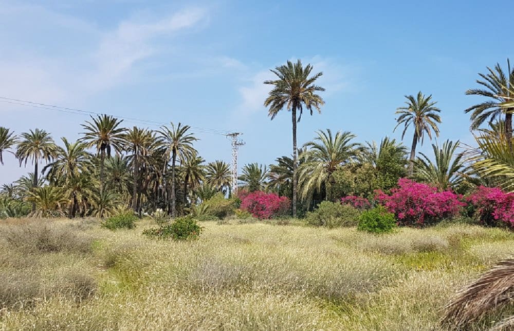 3 bedroom Villa for sale in Benferri with garage - € 294,950 (Ref: 9706066)