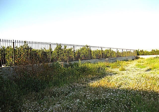 3 slaapkamer Villa te koop in Benferri met garage - € 294.950 (Ref: 9706066)