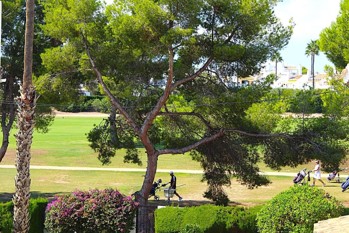 3 soverom Villa til salgs i Campoamor med svømmebasseng garasje - € 294 950 (Ref: 9706067)