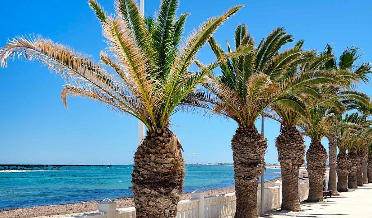 4 sovrum Hus till salu i Torre de la Horadada med garage - 272 500 € (Ref: 9706083)