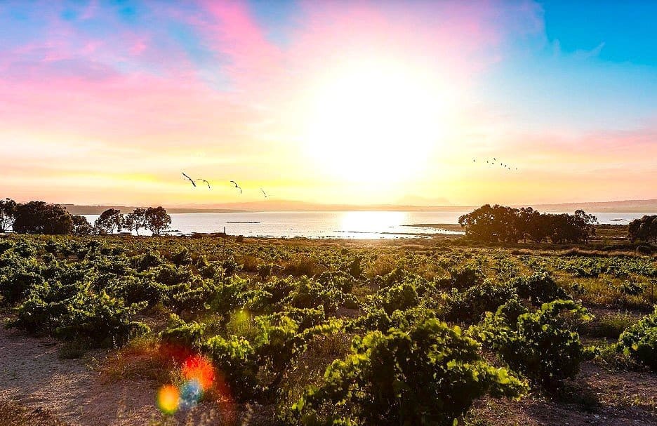 3 slaapkamer Huis te koop in El Chaparral - € 137.950 (Ref: 9706086)