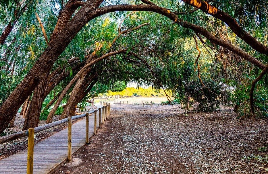 3 slaapkamer Huis te koop in El Chaparral - € 137.950 (Ref: 9706086)