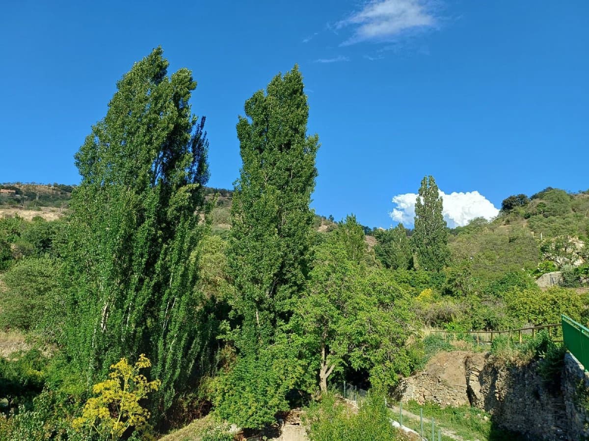 3 bedroom Apartment for sale in Benejuzar with garage - € 131,250 (Ref: 9706089)