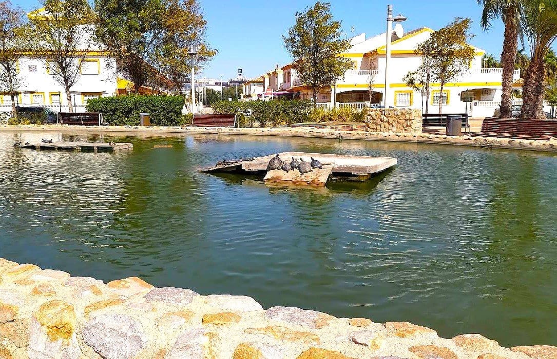 2 bedroom Apartment for sale in Lo Pagan with pool garage - € 370,000 (Ref: 9706093)