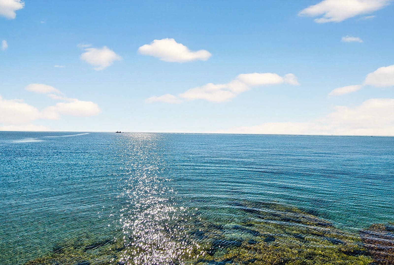 2 bedroom Bungalow for sale in Torrevieja - € 122,895 (Ref: 9706096)