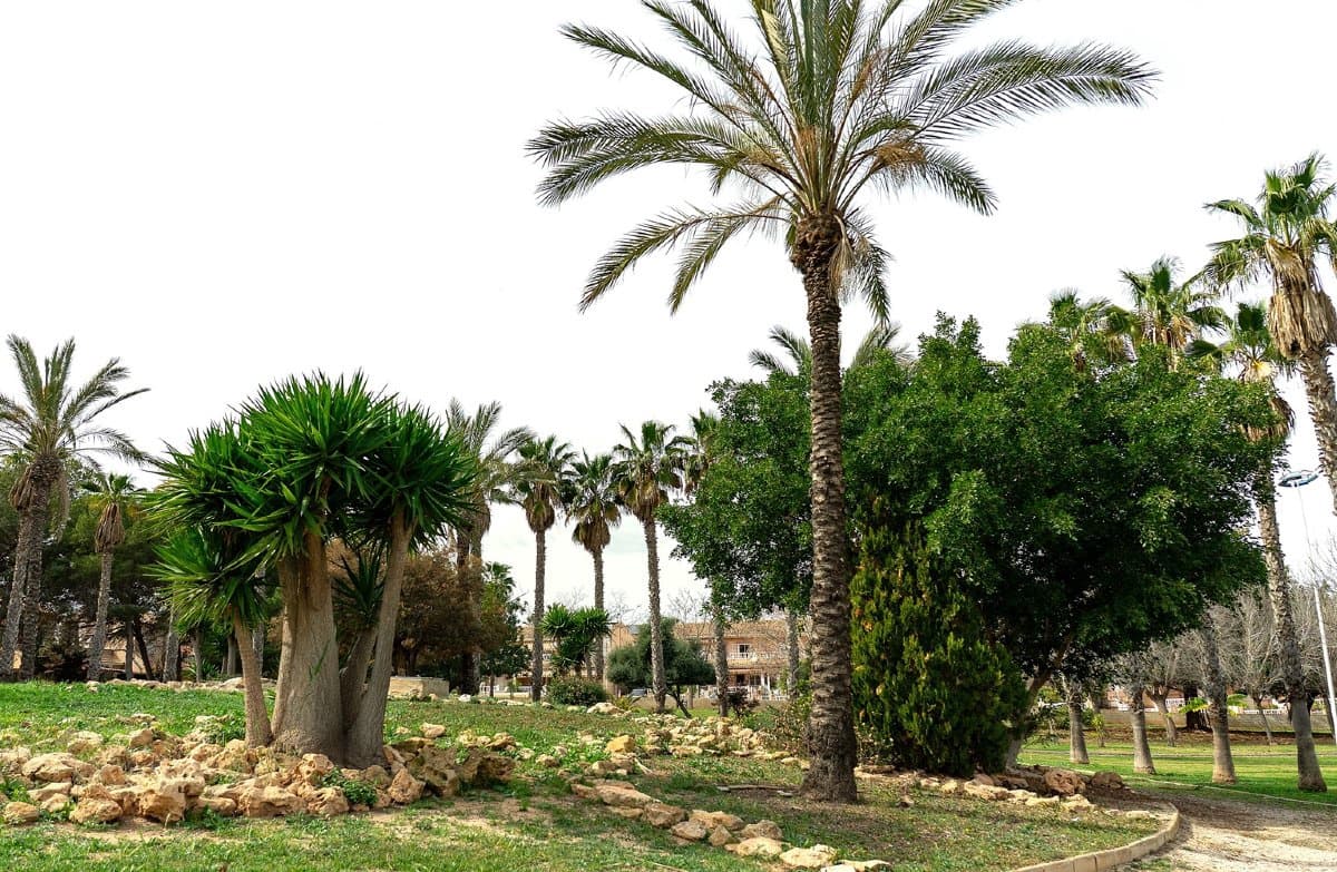 2 Zimmer Villa zu verkaufen in Los Altos mit Pool Garage - 270.000 € (Ref: 9709458)