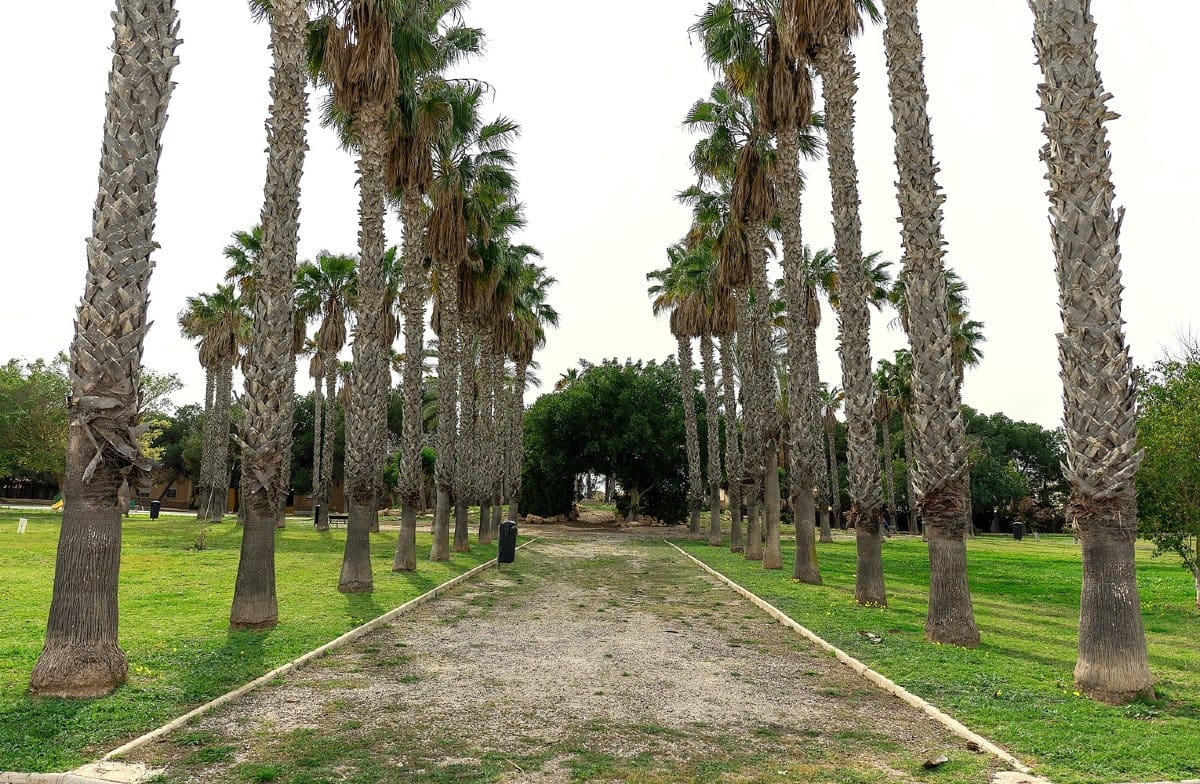 2 Zimmer Villa zu verkaufen in Los Altos mit Pool Garage - 270.000 € (Ref: 9709458)