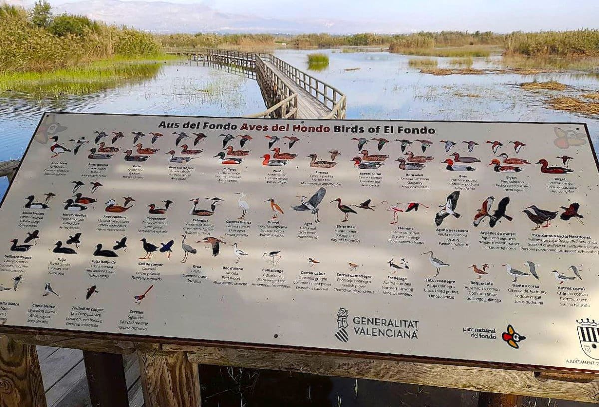 2 bedroom Apartment for sale in Ciudad Quesada with pool - € 139,900 (Ref: 9728438)