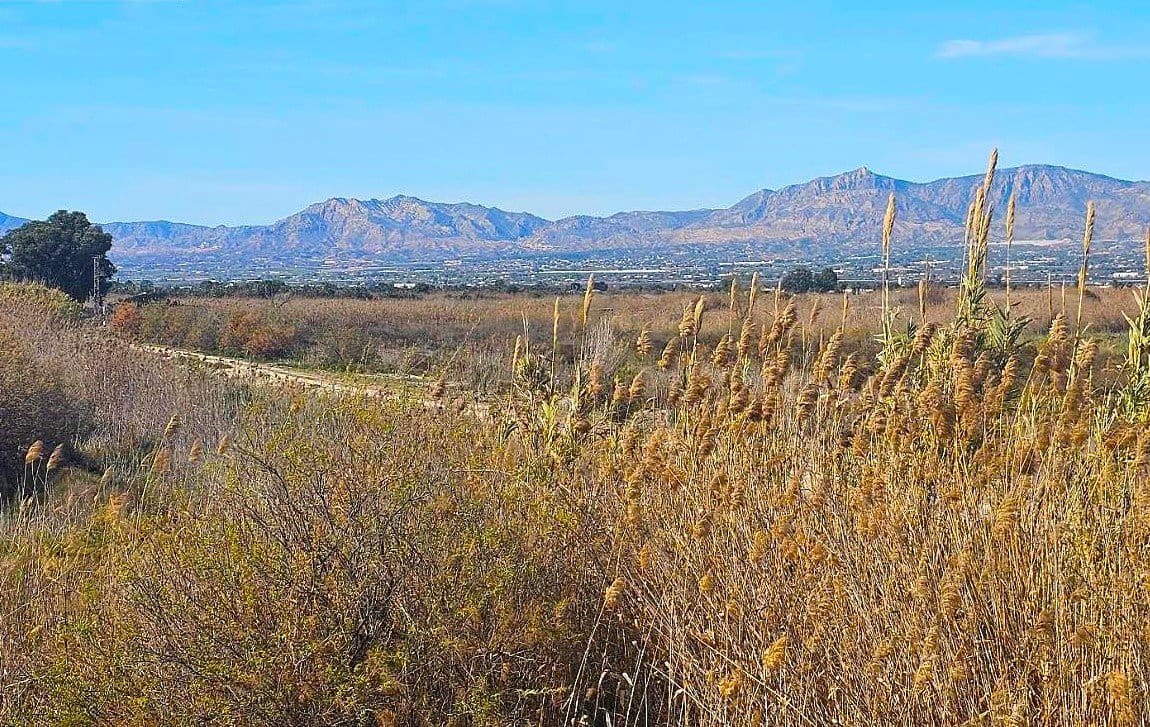 2 bedroom Apartment for sale in Ciudad Quesada with pool - € 139,900 (Ref: 9728438)