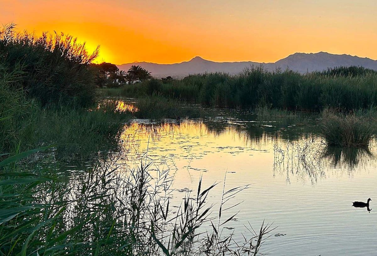 2 bedroom Apartment for sale in Ciudad Quesada with pool - € 139,900 (Ref: 9728438)