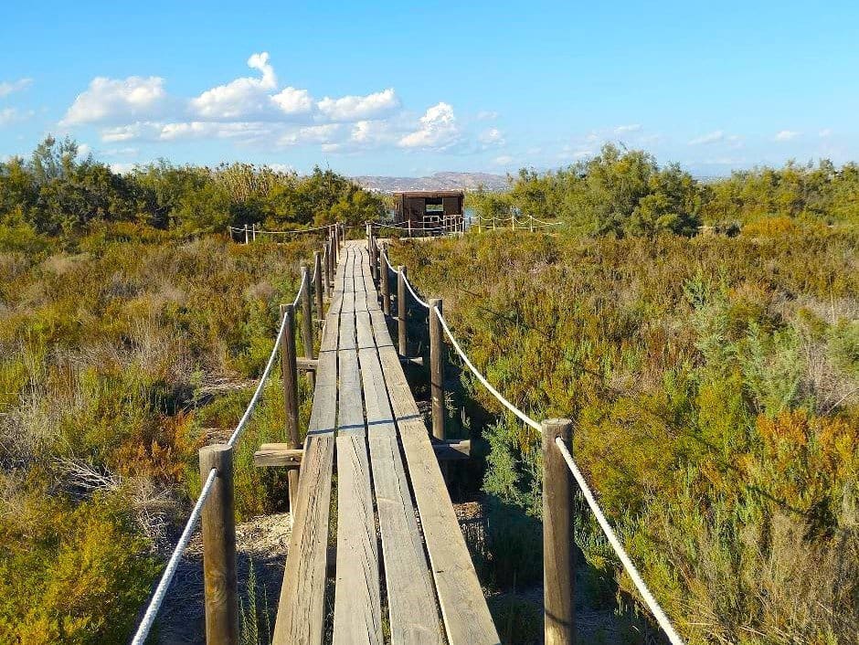 2 bedroom Apartment for sale in Ciudad Quesada with pool - € 139,900 (Ref: 9728438)