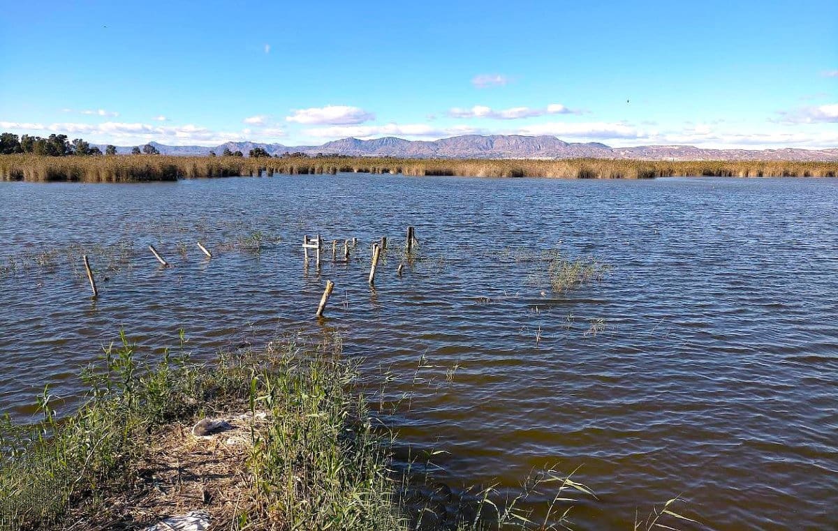 2 bedroom Apartment for sale in Ciudad Quesada with pool - € 139,900 (Ref: 9728438)