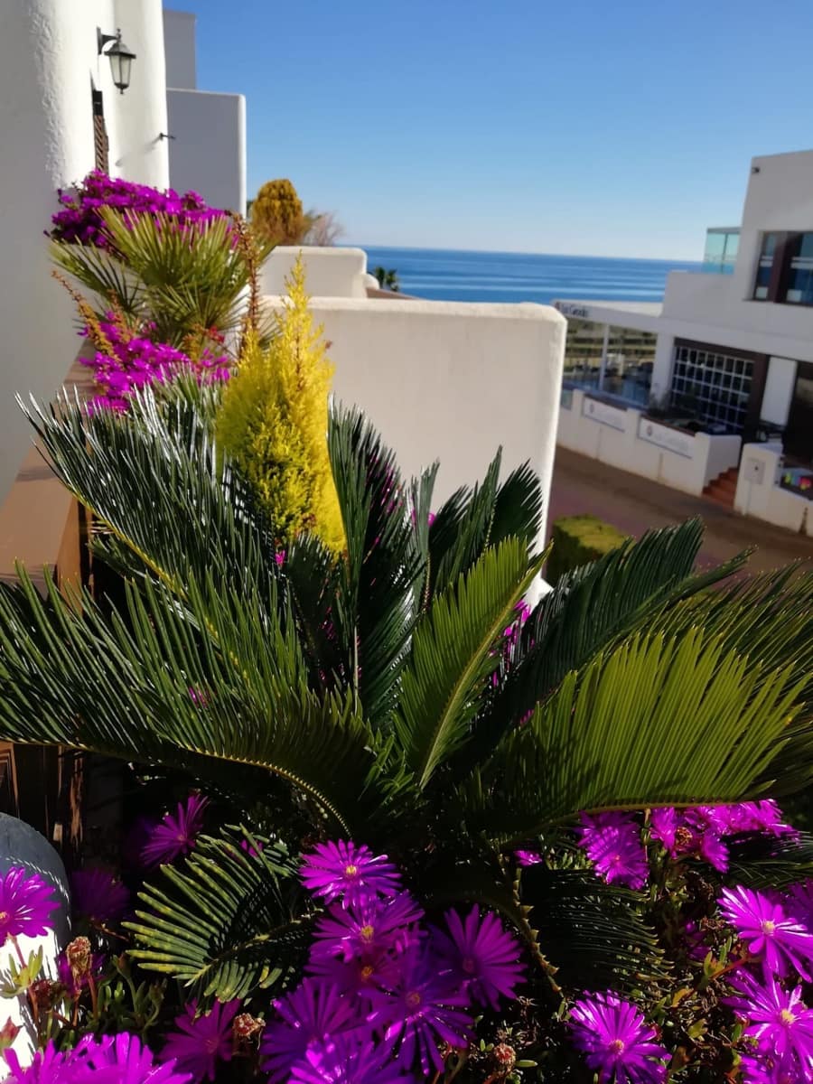 2 slaapkamer Penthouse te koop in San Juan de los Terreros met zwembad garage - € 229.000 (Ref: 8202632)