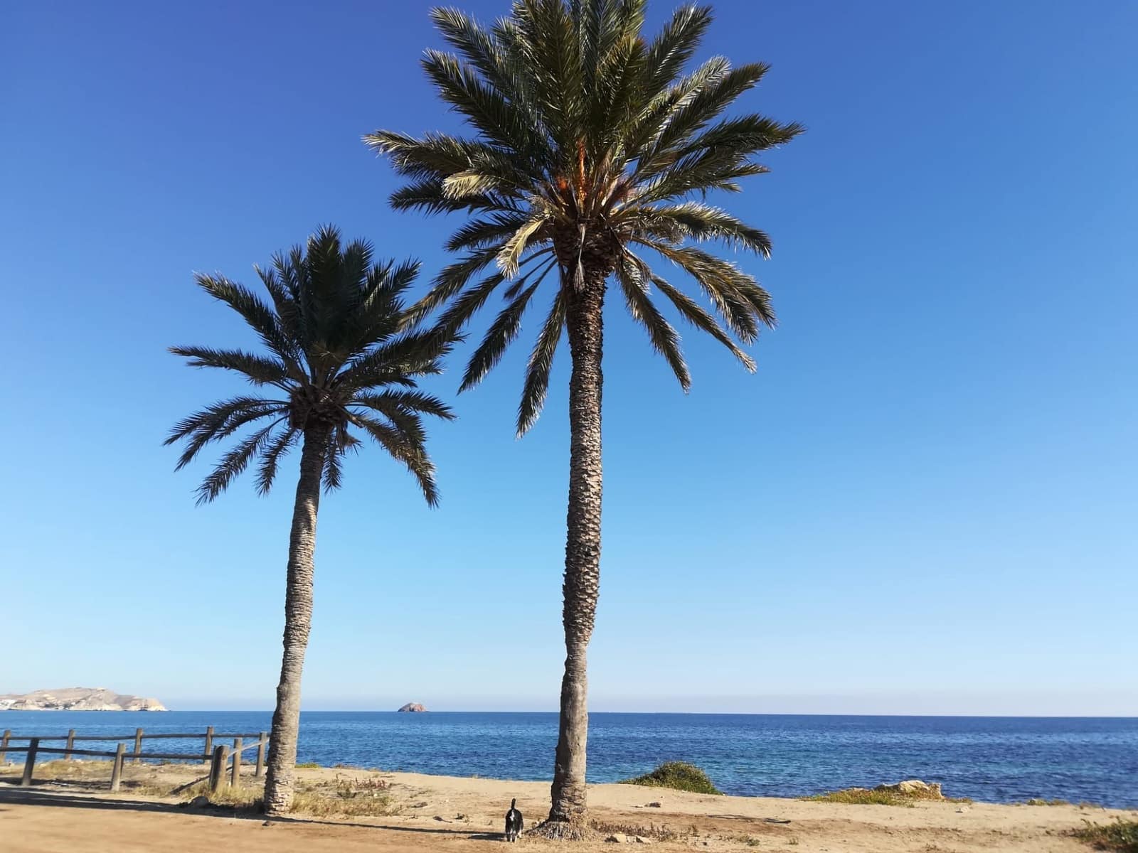 2 slaapkamer Penthouse te koop in San Juan de los Terreros met zwembad garage - € 229.000 (Ref: 8202632)