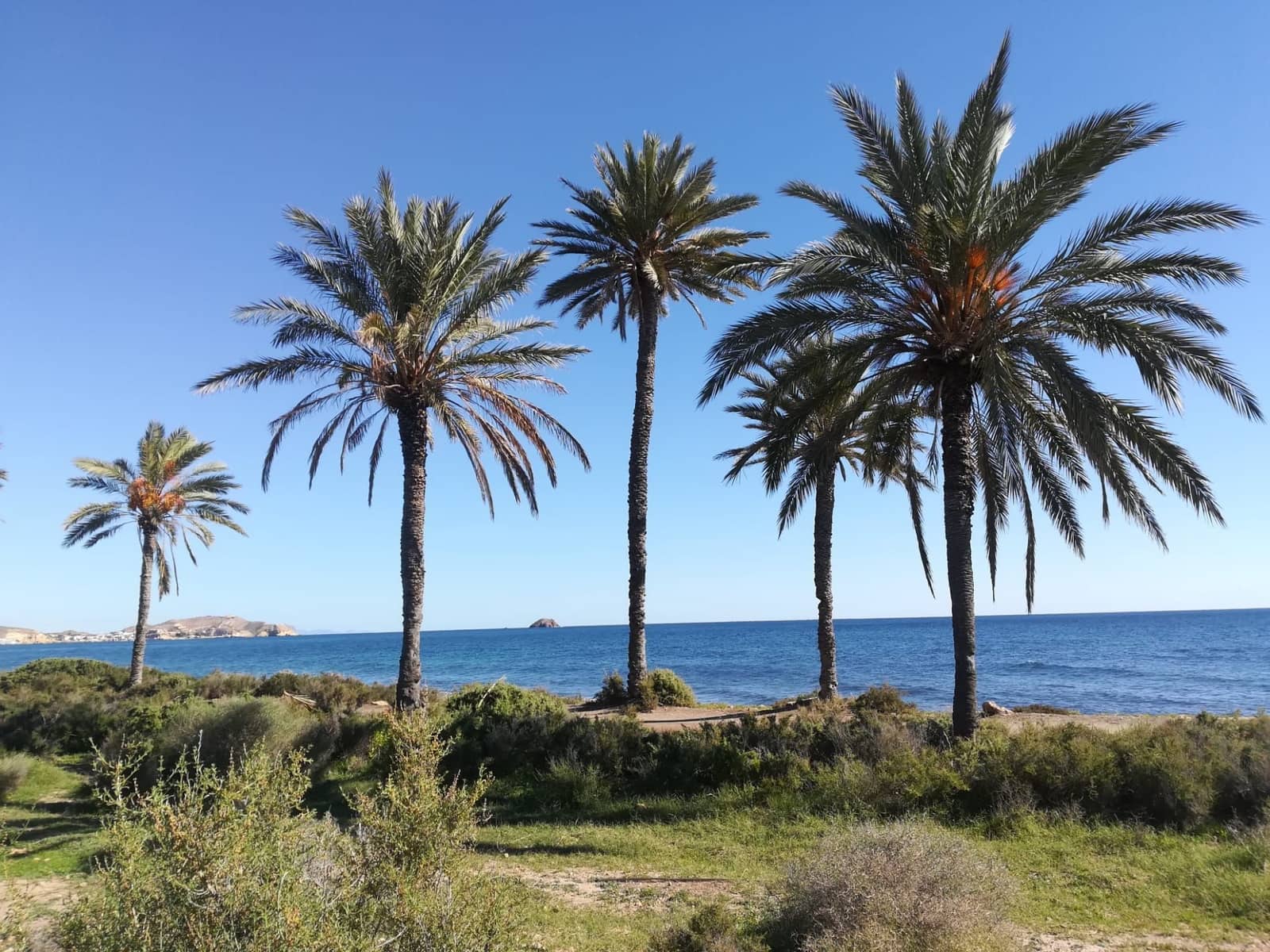 2 slaapkamer Penthouse te koop in San Juan de los Terreros met zwembad garage - € 229.000 (Ref: 8202632)