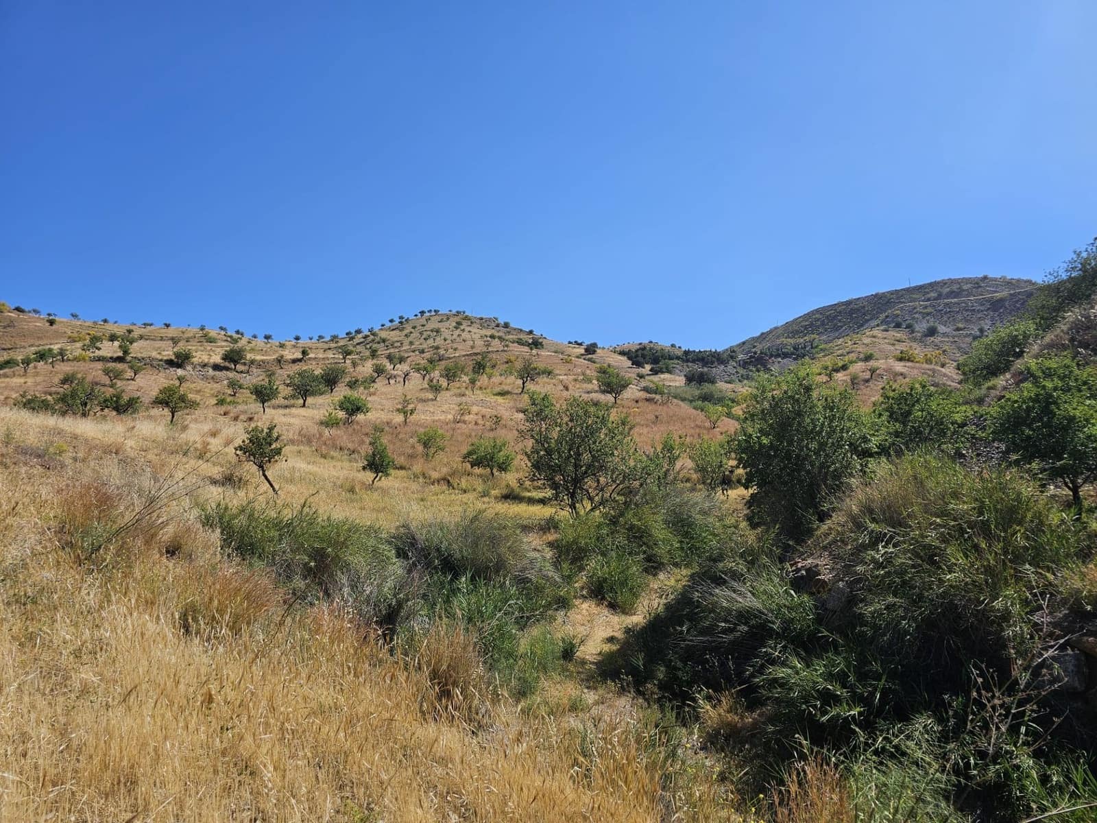 4 soveværelse Finca/Landehus til salg i Lujar med garage - € 89.000 (Ref: 9254627)