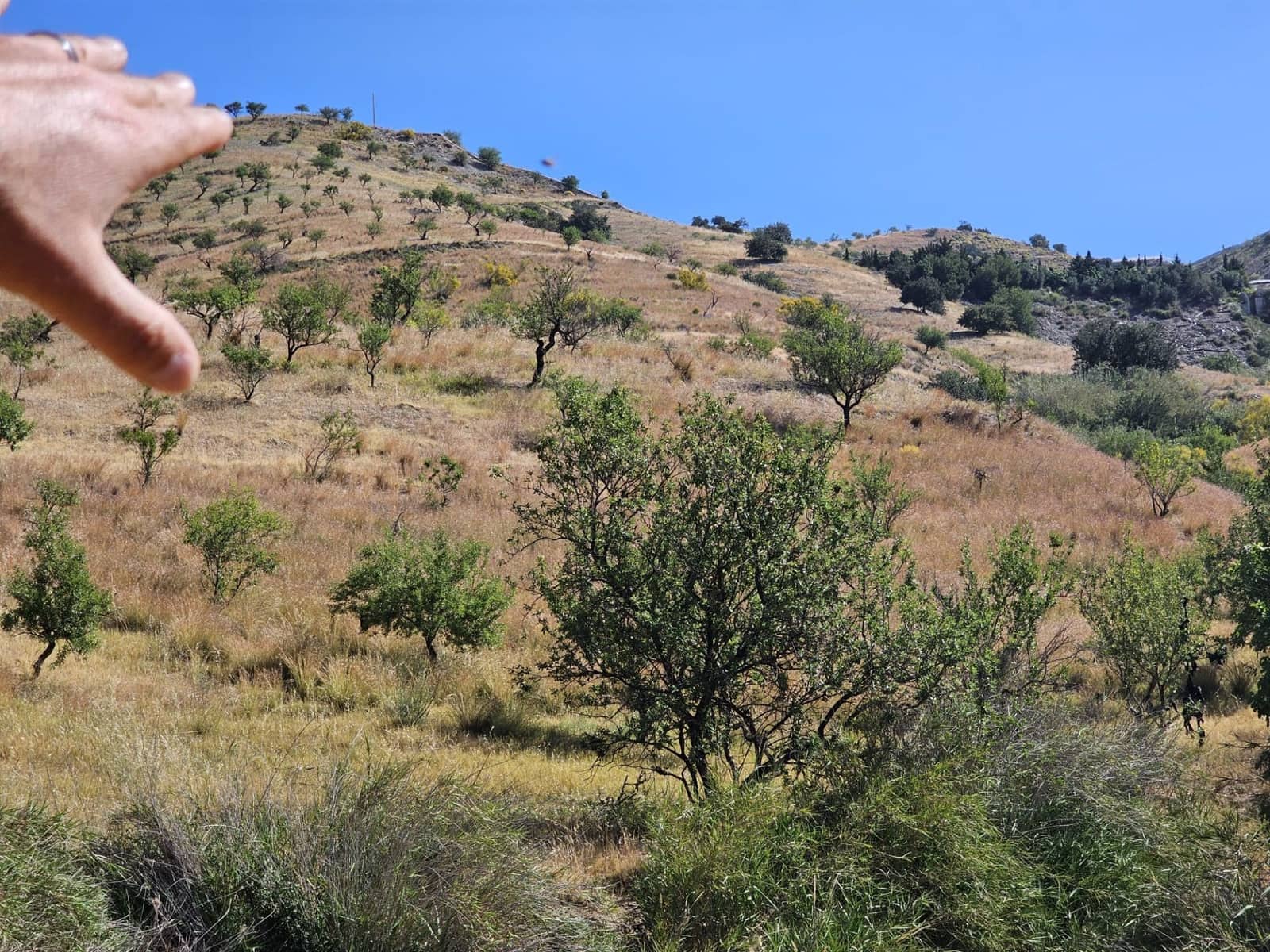 4 soveværelse Finca/Landehus til salg i Lujar med garage - € 89.000 (Ref: 9254627)