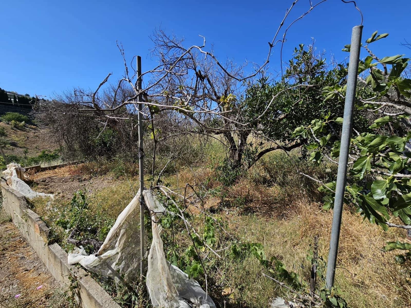 4 soveværelse Finca/Landehus til salg i Lujar med garage - € 89.000 (Ref: 9254627)