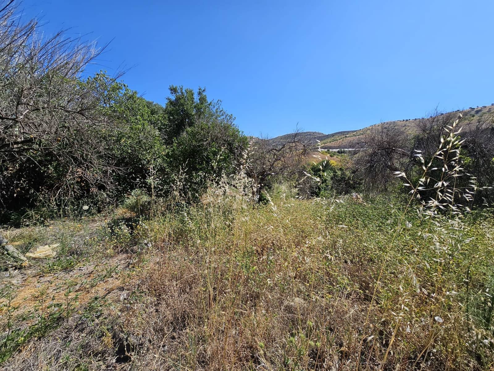 4 soveværelse Finca/Landehus til salg i Lujar med garage - € 89.000 (Ref: 9254627)