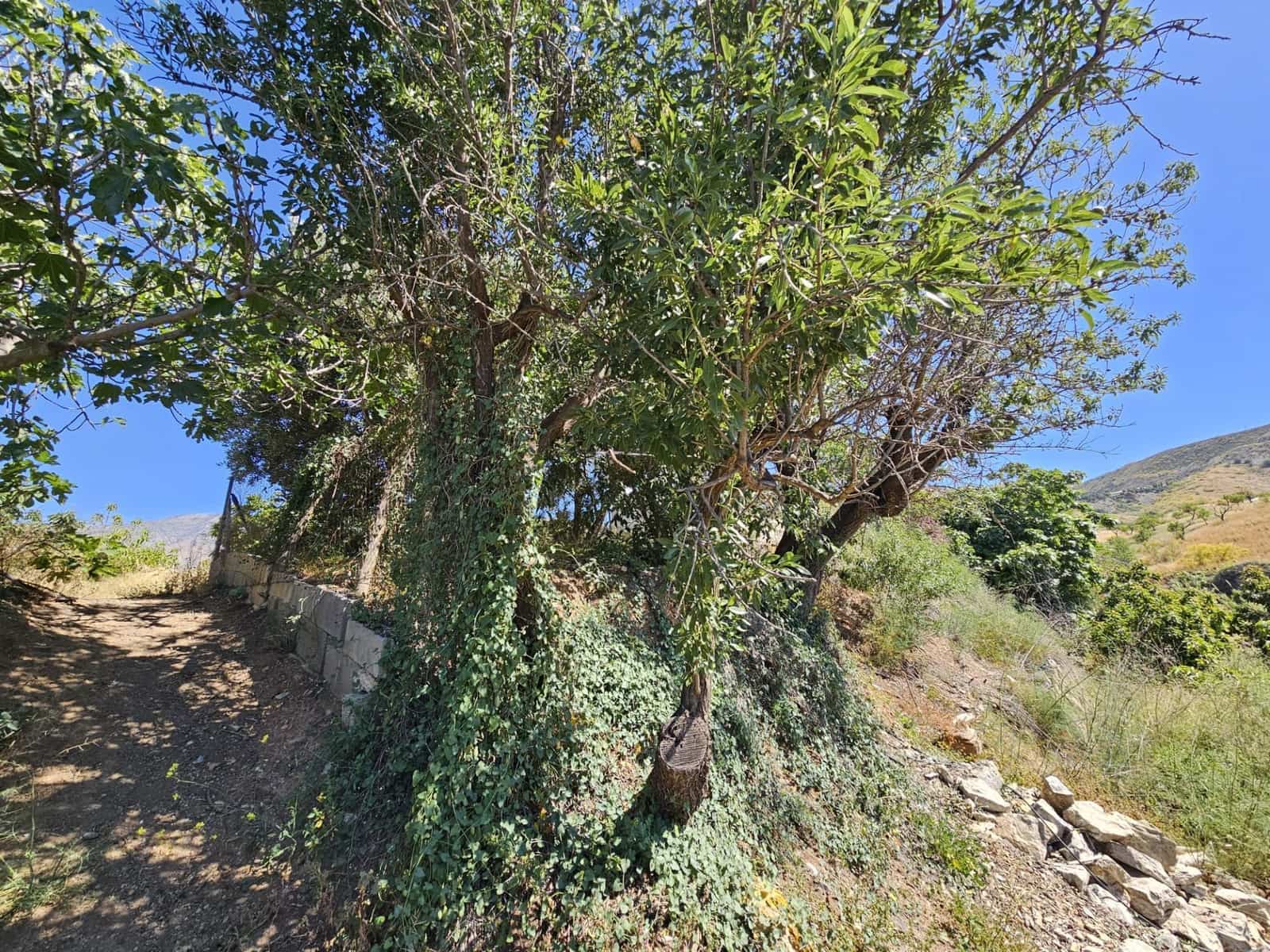 4 soveværelse Finca/Landehus til salg i Lujar med garage - € 89.000 (Ref: 9254627)