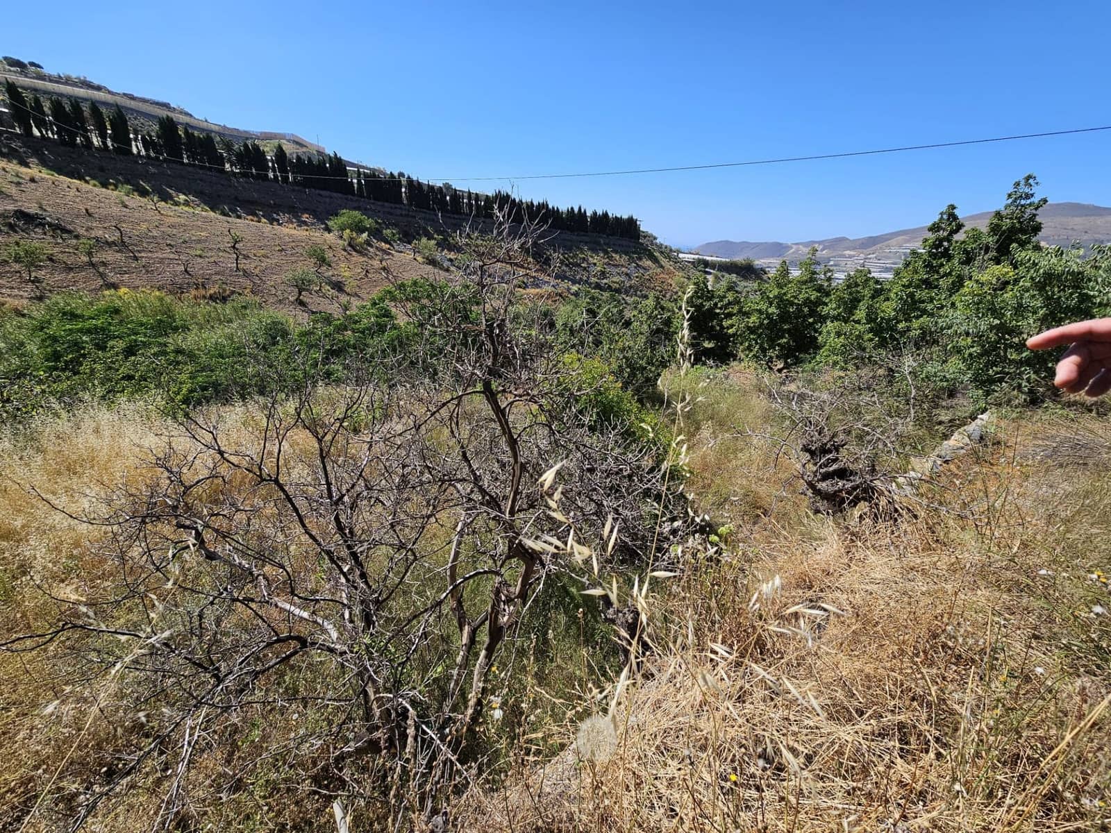 4 soveværelse Finca/Landehus til salg i Lujar med garage - € 89.000 (Ref: 9254627)