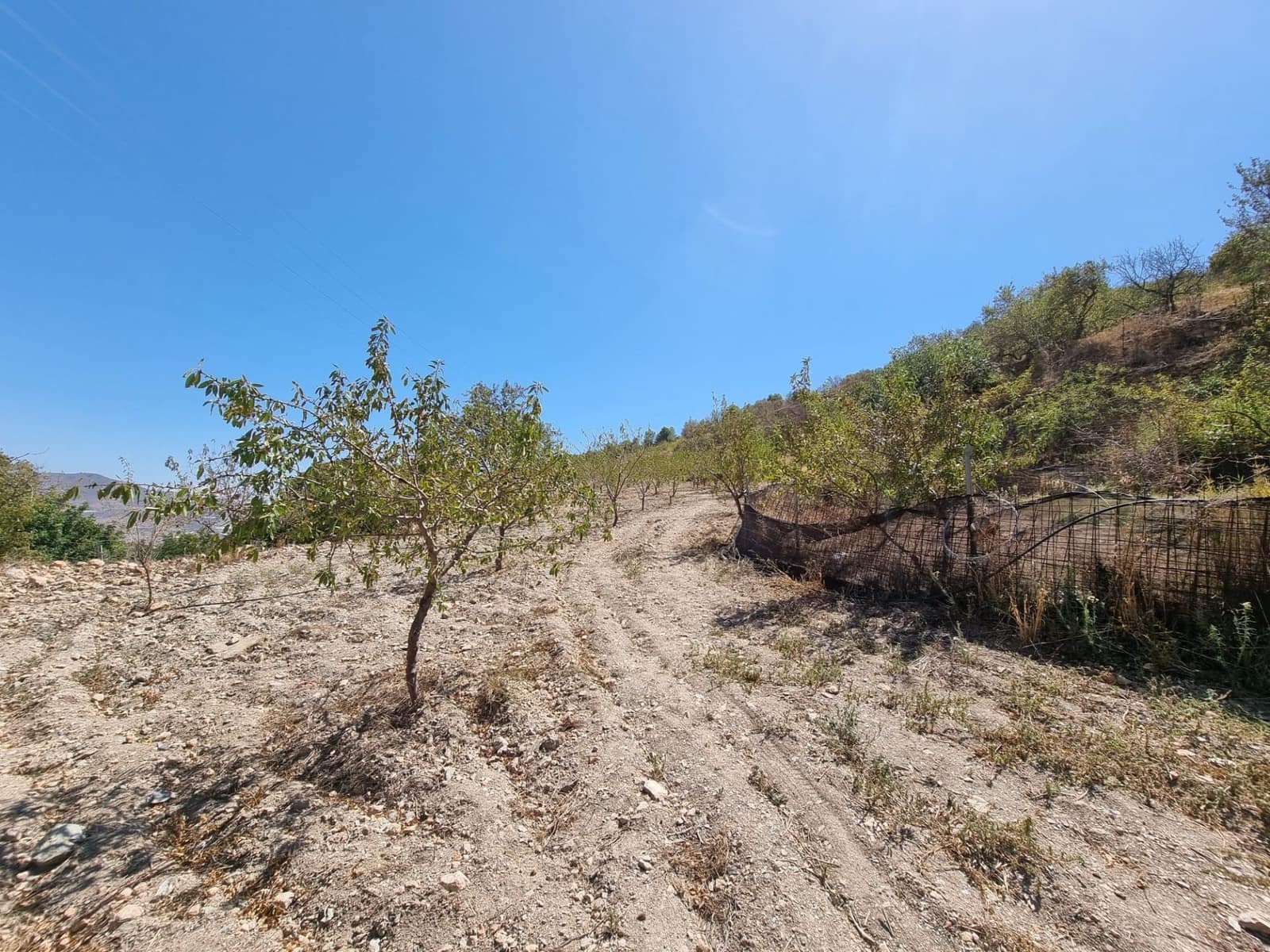 Finca/Landehus til salg i Gualchos - € 89.900 (Ref: 9254632)