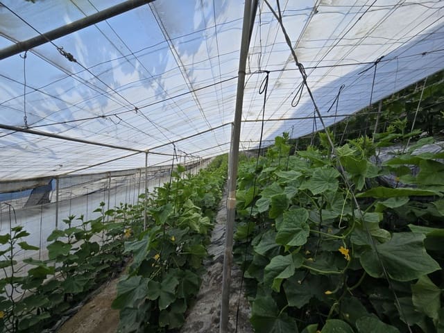 Finca/Landehus til salg i Rubite - € 54.000 (Ref: 9254634)