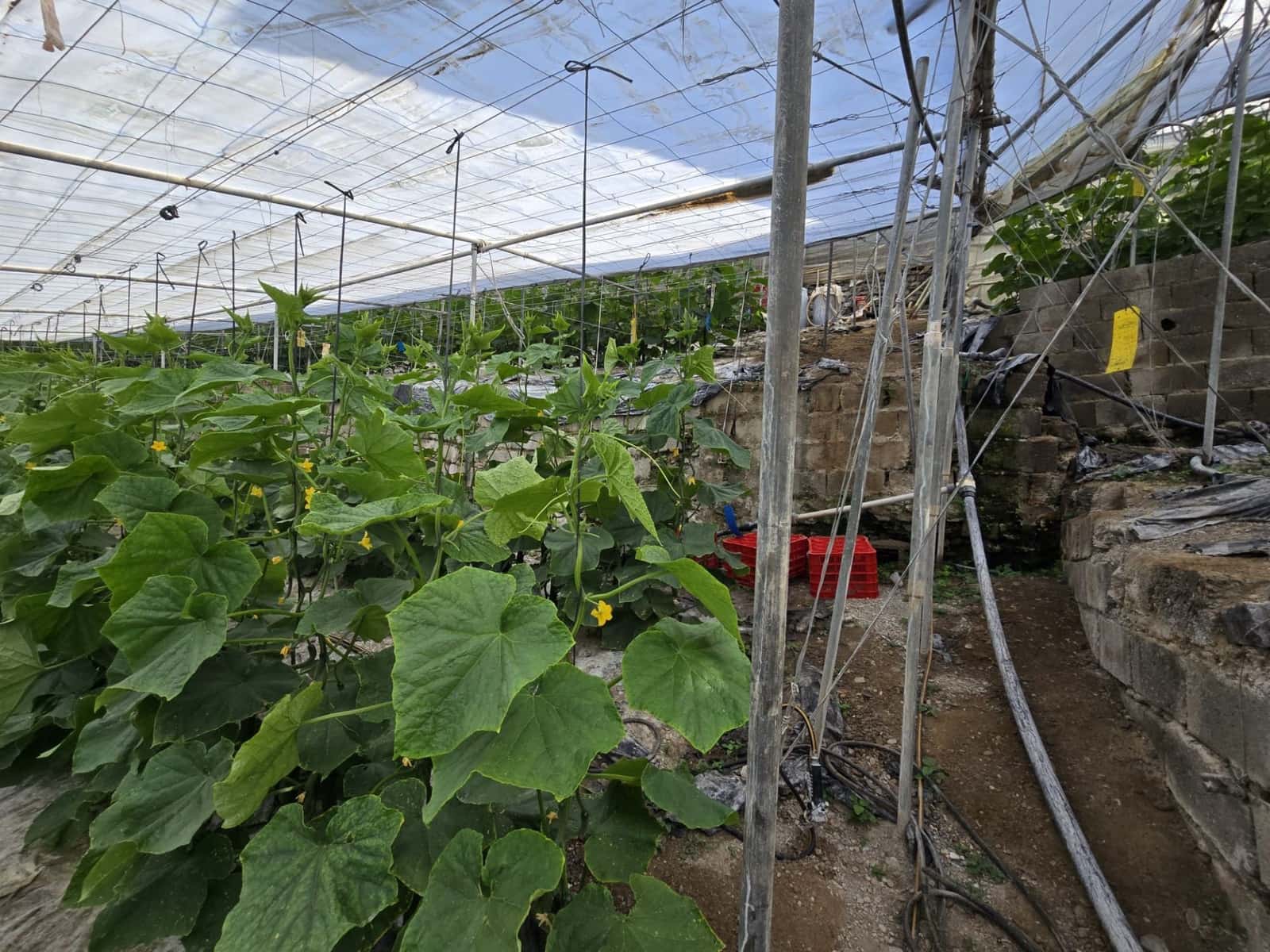 Finca/Landehus til salg i Rubite - € 54.000 (Ref: 9254634)