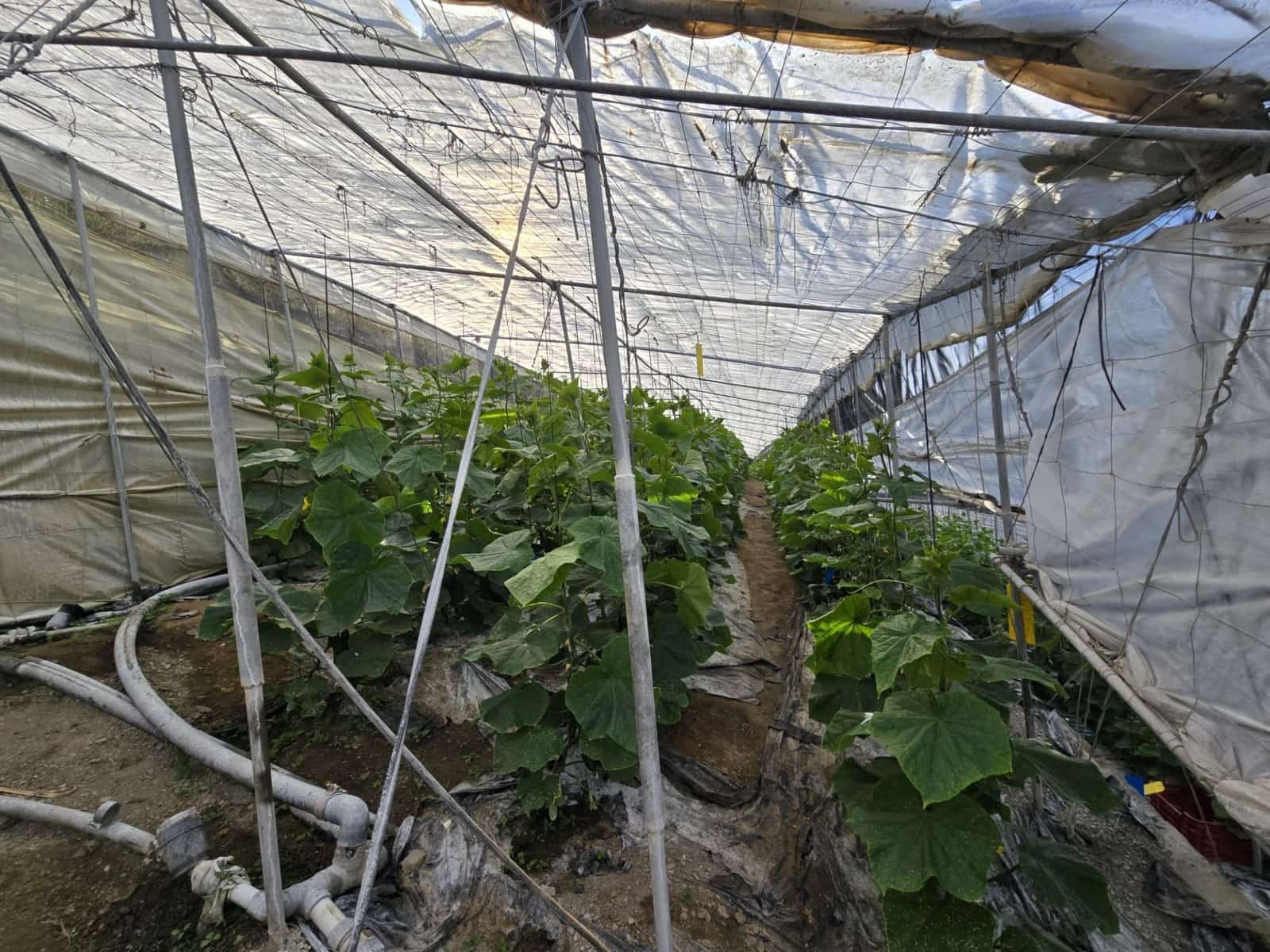 Finca/Landehus til salg i Rubite - € 54.000 (Ref: 9254634)