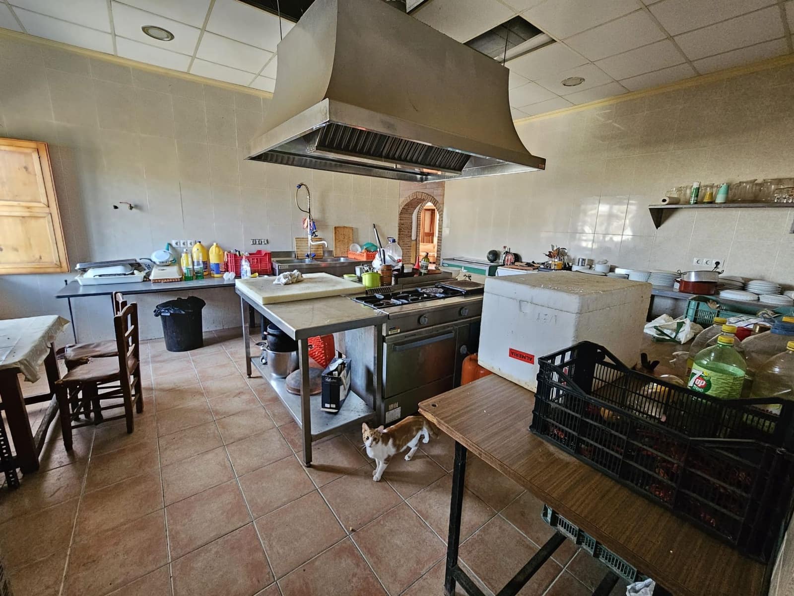 Kommersiell til salgs i Sorvilan - € 220 000 (Ref: 9254639)