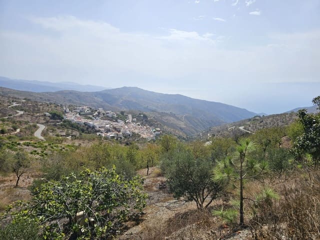 Kommersiell till salu i Sorvilán - 220 000 € (Ref: 9254639)