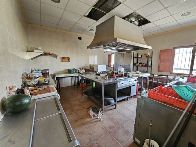 Kommersiell till salu i Sorvilán - 220 000 € (Ref: 9254639)