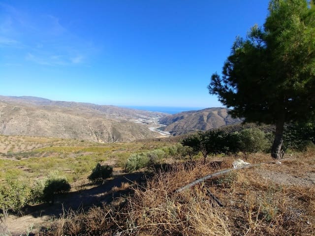 6 soverom Finca/Herregård til salgs i Sorvilán - € 399 000 (Ref: 9254645)