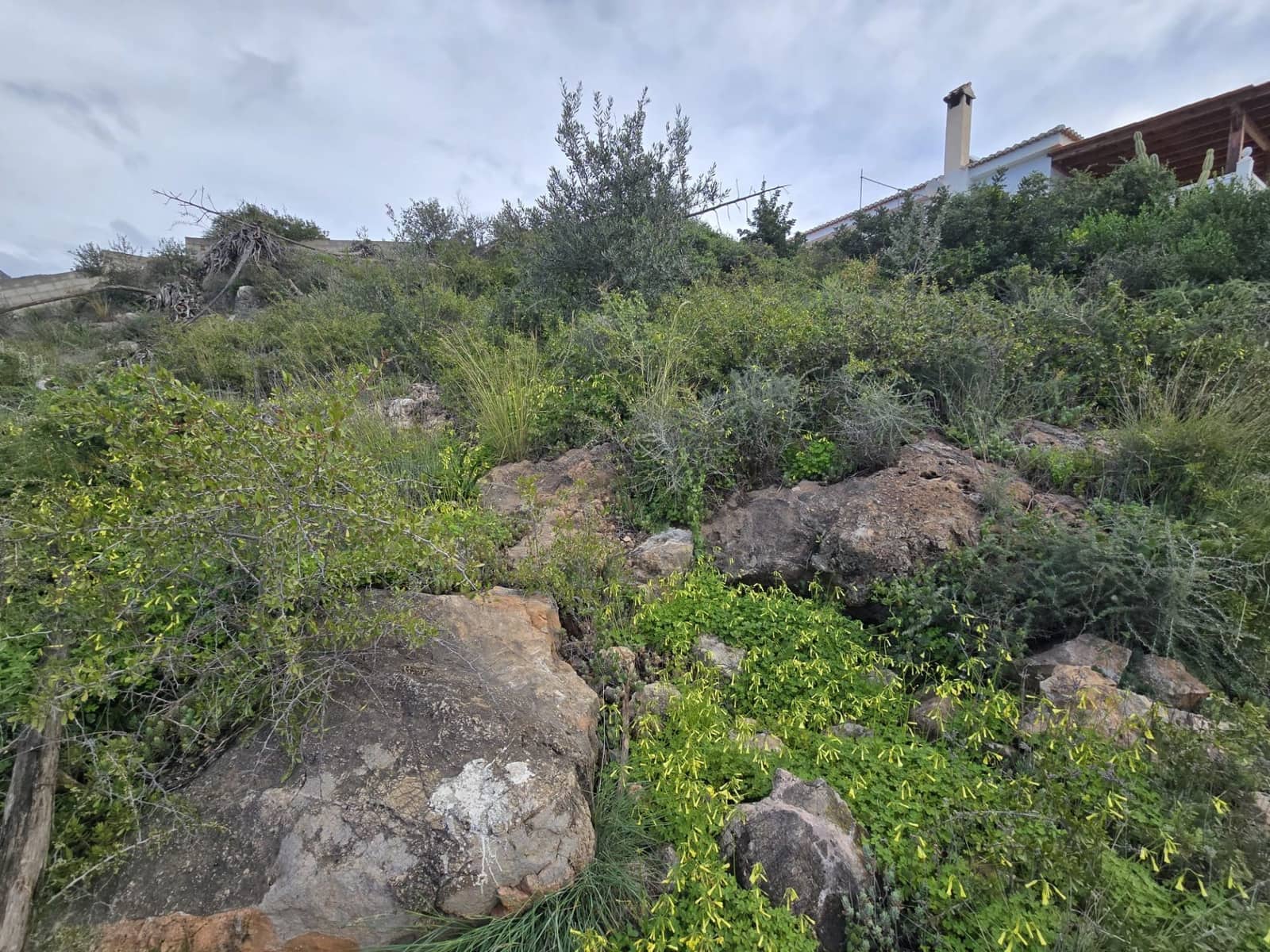 Building Plot for sale in Velez de Benaudalla - € 119,000 (Ref: 9731678)