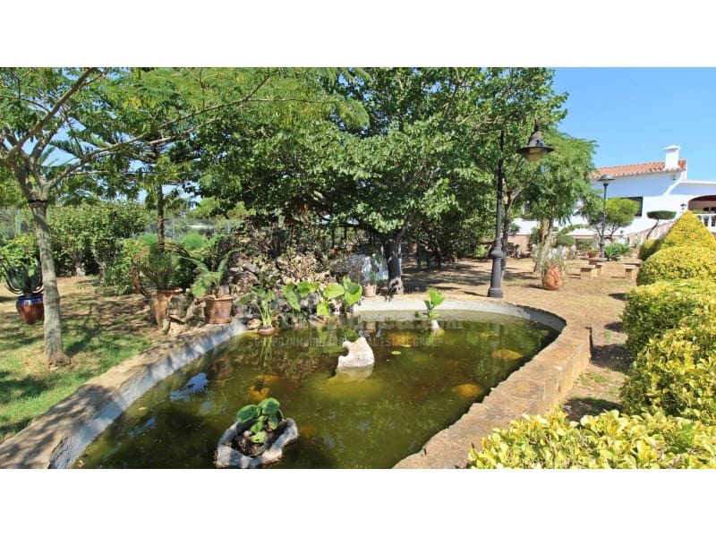 3 soveværelse Finca/Landehus til salg i La Argentina med swimmingpool garage - € 990.000 (Ref: 7962409)