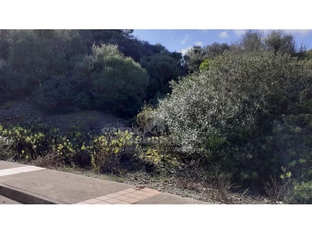 Tomt till salu i Mahón / Maó - 233 500 € (Ref: 7962428)