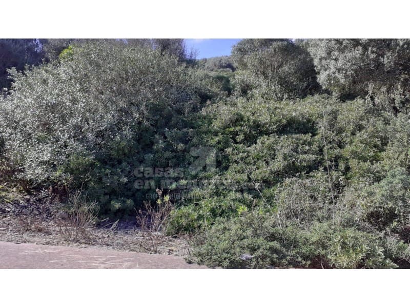 Byggetomt til salgs i Mahon / Mao - € 233 500 (Ref: 7962428)