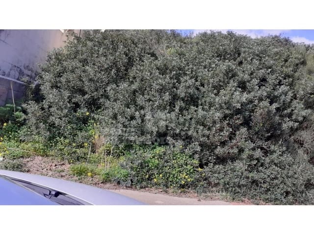 Tomt till salu i Mahón / Maó - 233 500 € (Ref: 7962428)