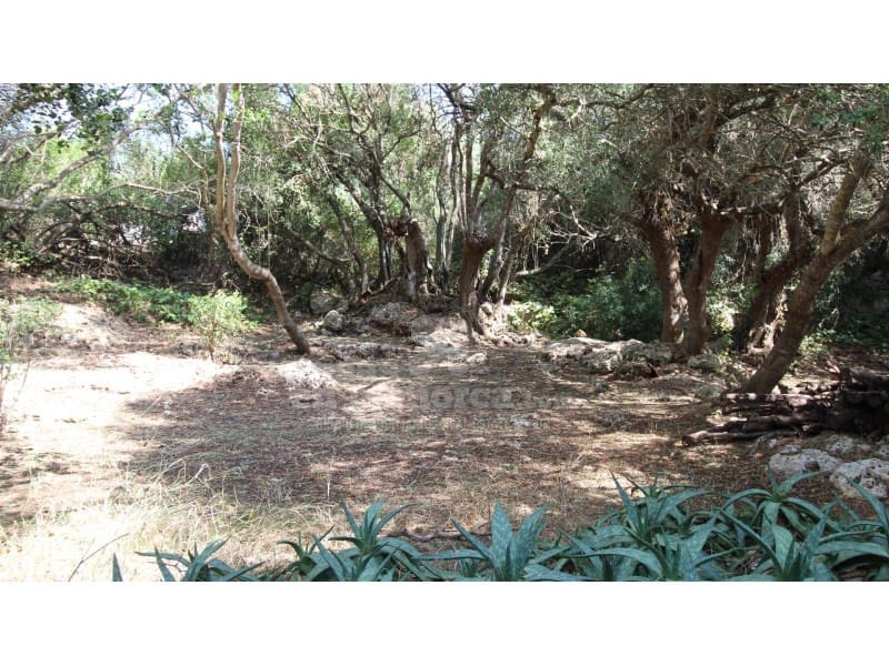 Chalet de 7 habitaciones en Binixica en venta con piscina garaje - 1.975.000 € (Ref: 7986192)